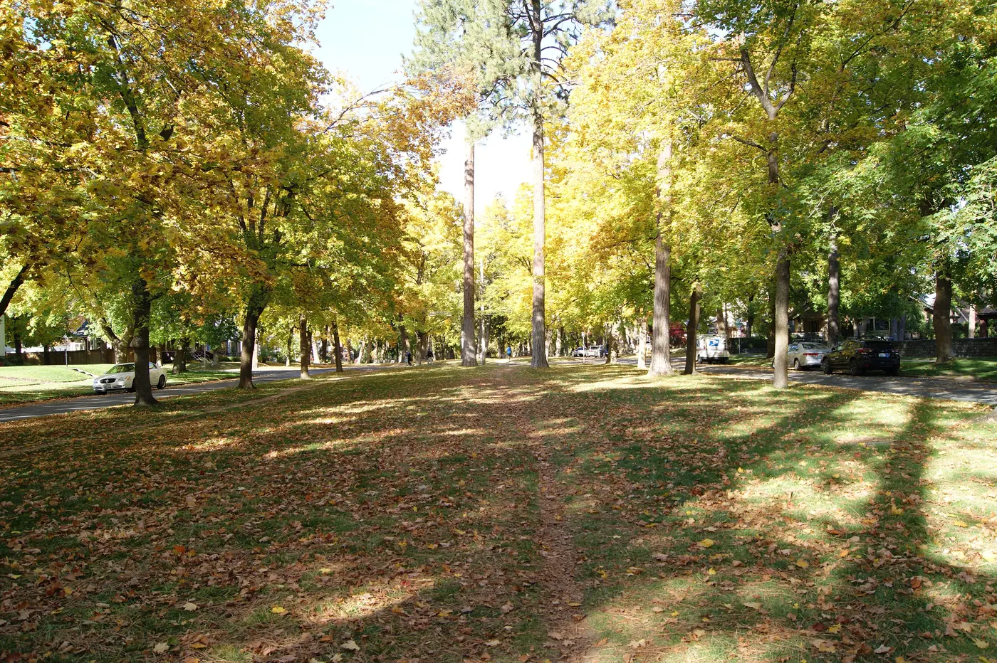Tree-lined Manito Boulevard parkway